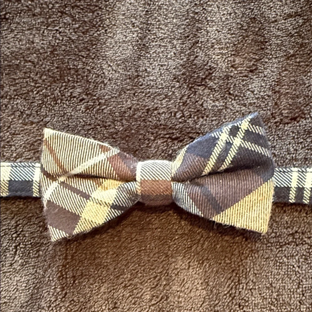 Janie and Jack Boys Bow Tie Set - Blue, Yellow, Brown, Red